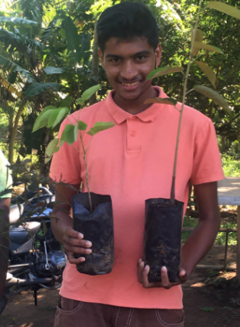 A tree for every child